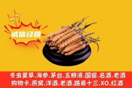 周口回收冬虫夏草